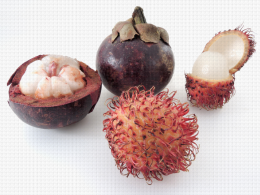 Fruits tropicaux d'Asie du sud-est : Ramboutan et Mangoustan, spécimens sans défaut